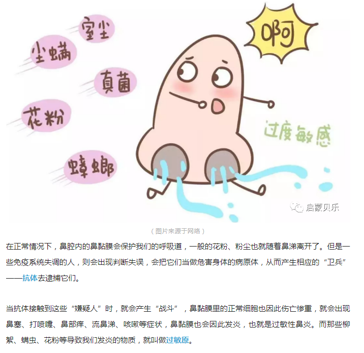 【启蒙贝乐分享】鼻子最先知道秋天来了！过敏性鼻炎该怎么办？
