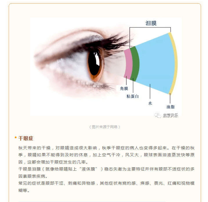 【启蒙贝乐】秋季高发的四大眼病，80%人都忽略了