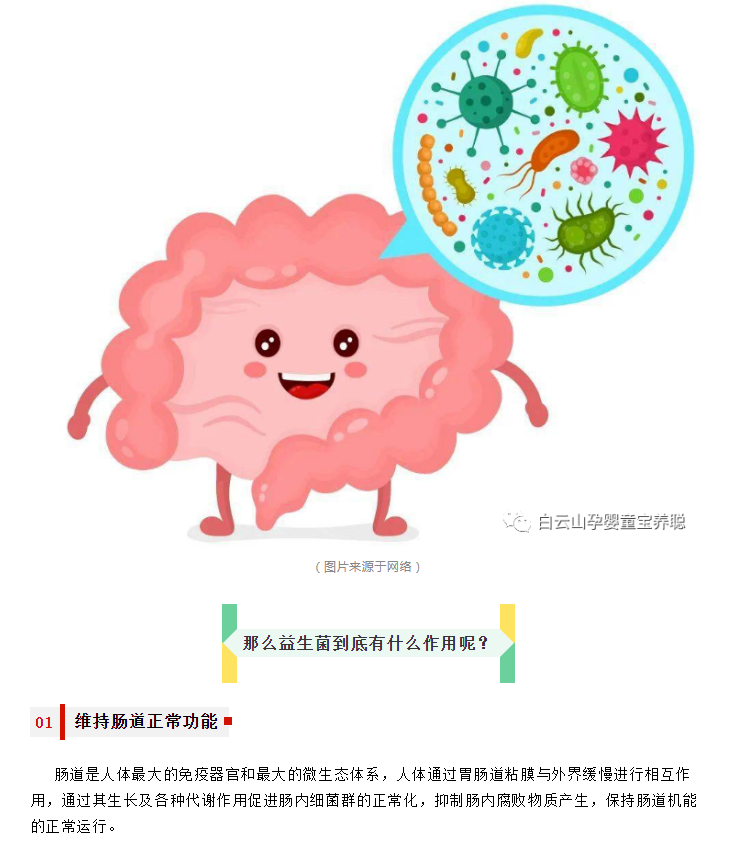 【宝养聪分享】益生菌一旦缺乏，体内平衡被打破，后果…