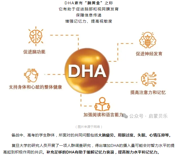 【启蒙贝乐分享】备战中高考，DHA是考试最后的“加油站”！