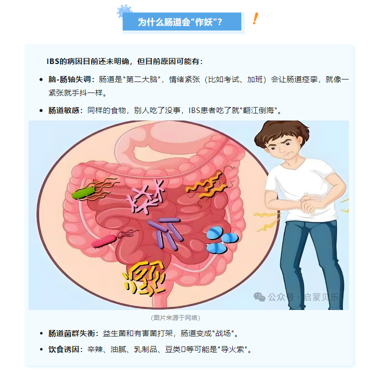 【启蒙贝乐专业调养分享】肠道为何闹”小脾气”——科学认识肠易激综合征