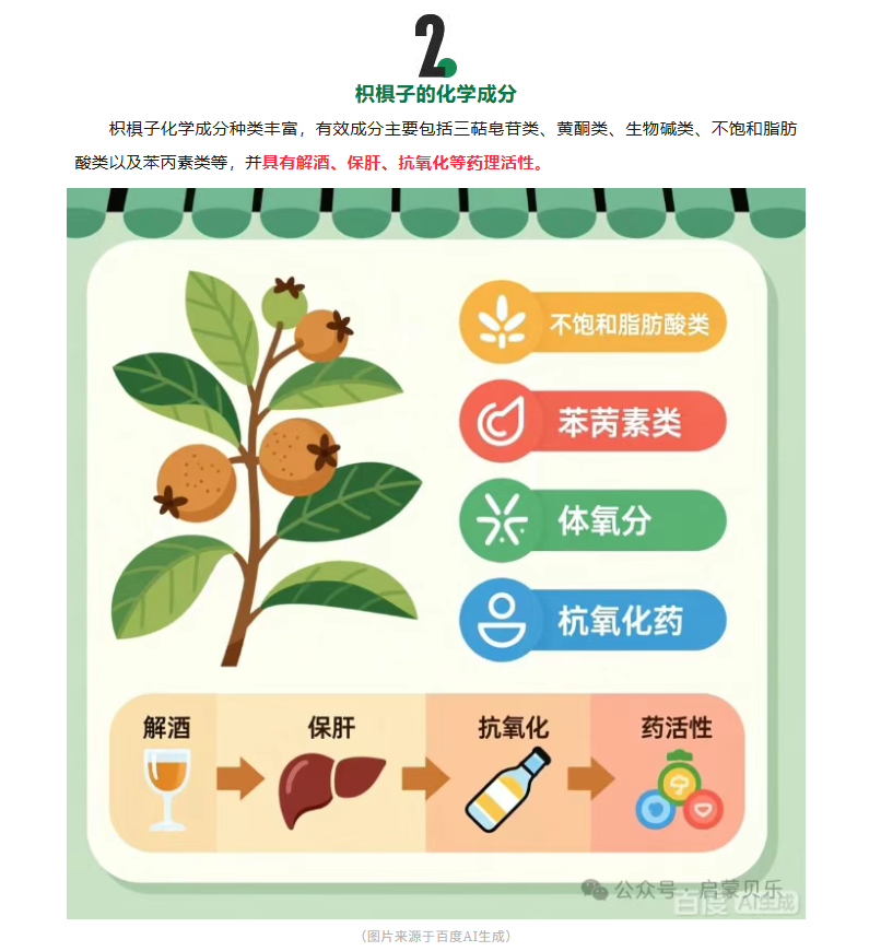 【启蒙贝乐专业调养分享】解酒护肝“千杯不醉果”——枳椇子