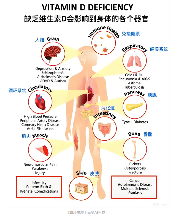 【启蒙贝乐专业调养分享】过敏性鼻炎反复发作有隐情，是维生素D缺乏在作祟！
