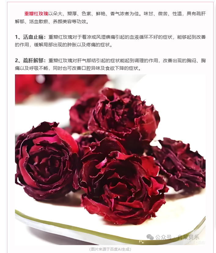 【启蒙贝乐专业调养分享】重瓣玫瑰 —— 疏肝佳品，和血调经良花，美容养颜珍卉